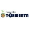 logo-tormenta